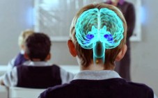 neuroeducacion (1)